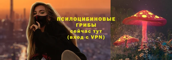 шишки Алзамай