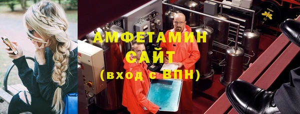 шишки Алзамай