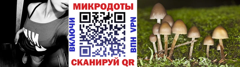 Псилоцибиновые грибы Psilocybine cubensis Лукоянов
